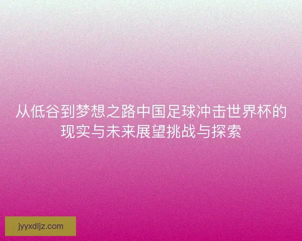 从低谷到梦想之路中国足球冲击世界杯的现实与未来展望挑战与探索