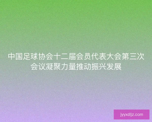 中国足球协会十二届会员代表大会第三次会议凝聚力量推动振兴发展 中国足球协会十二届会员代表大会第三次会议凝聚力量推动振兴发展